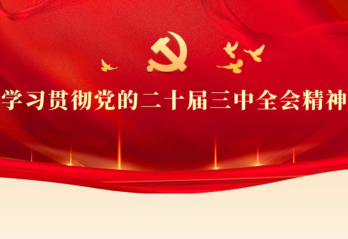 学习贯彻党的二十届三中全会精神