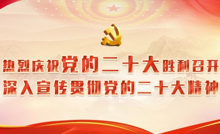 二十大专题